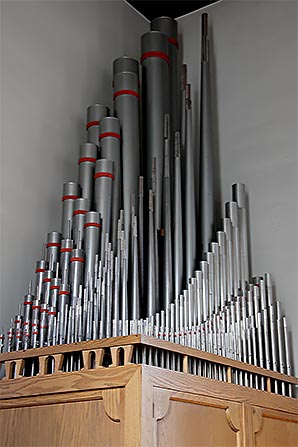 organ